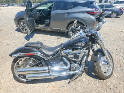 2025 Harley-Davidson Flfbs