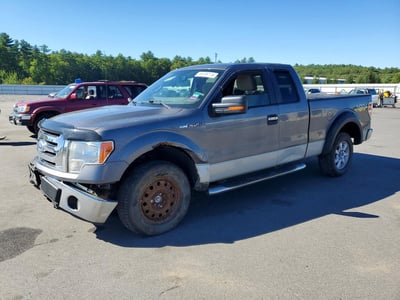 2009 Ford F-150