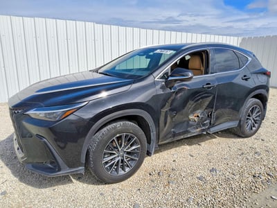 2025 Lexus NX