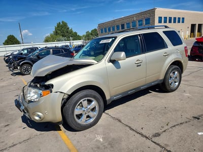 2010 Ford Escape