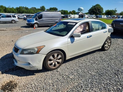 2010 Honda Accord