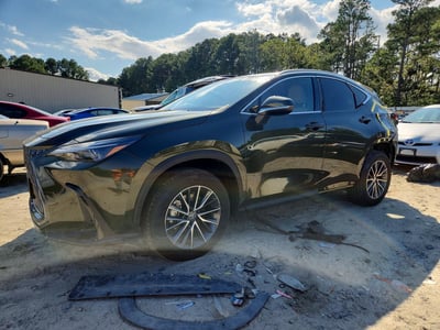2025 Lexus NX 350h