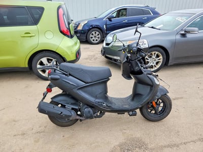 2021 Genuine Scooter Buddy