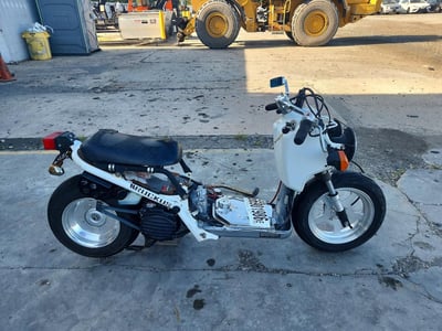 2007 Honda Nps50f
