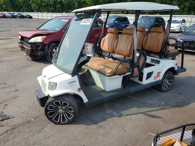 2020 Tomberlin E-mergel