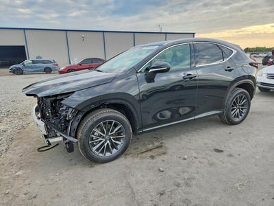 2026 Lexus NX
