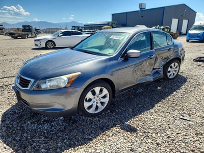 2010 Honda Accord