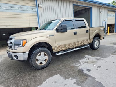 2013 Ford F-150