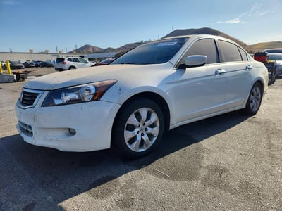 2010 Honda Accord