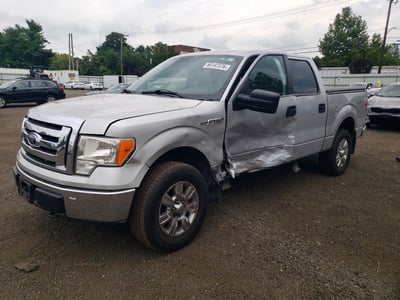 2009 Ford F-150