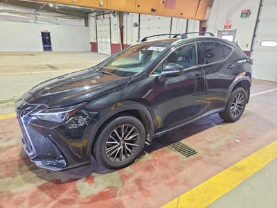 2024 Lexus NX