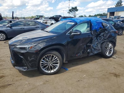 2025 Lexus NX 350h