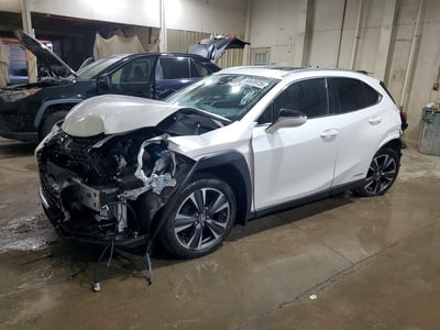 2021 Lexus UX Hybrid