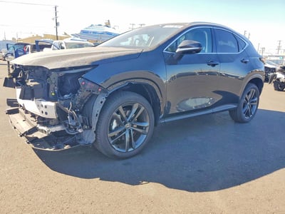 2025 Lexus NX