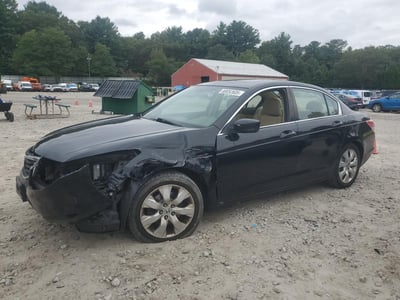 2010 Honda Accord