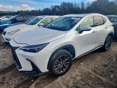 2025 Lexus NX 350