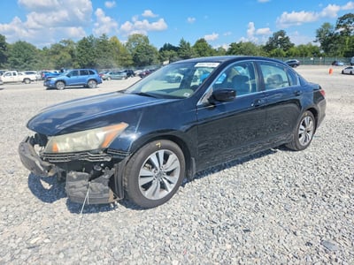 2010 Honda Accord