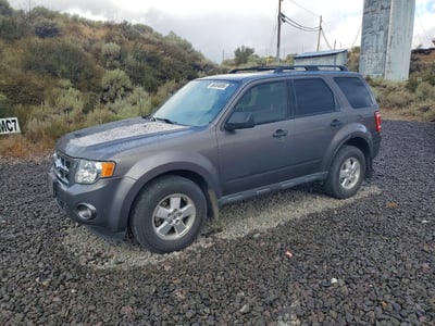 2010 Ford Escape