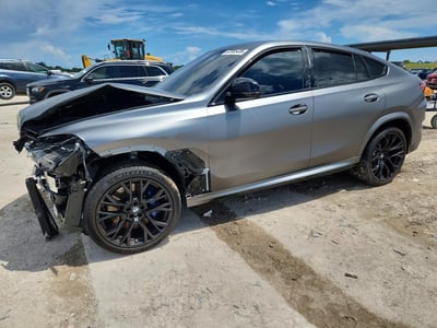 2025 BMW X6