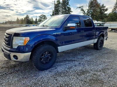 2009 Ford F-150