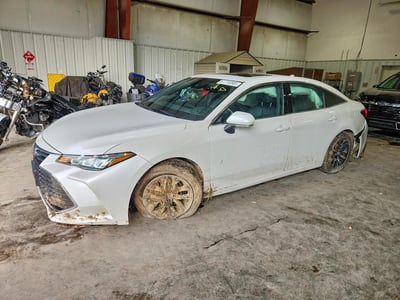 2019 Toyota Avalon