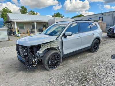 2025 Kia Telluride