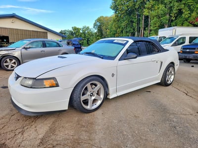1999 Ford Mustang