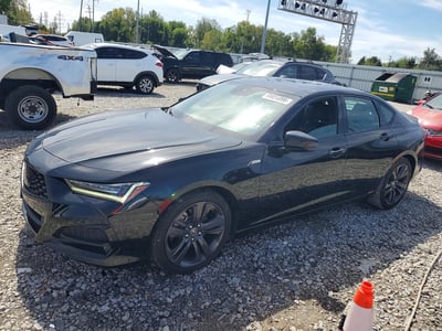 2023 Acura TLX
