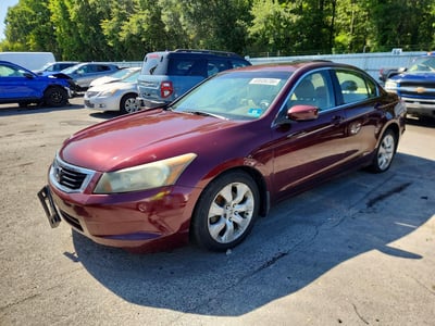 2010 Honda Accord
