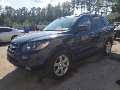 2009 Hyundai Santa Fe