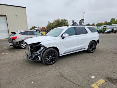 2025 Hyundai Palisade