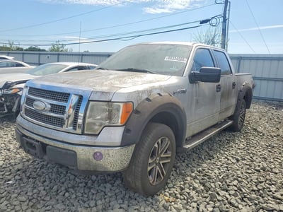 2009 Ford F-150