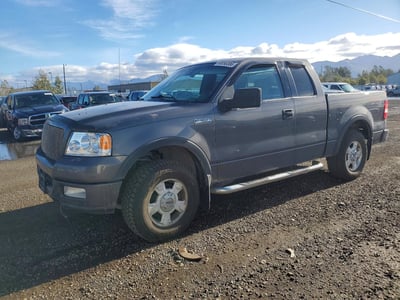 2004 Ford F-150