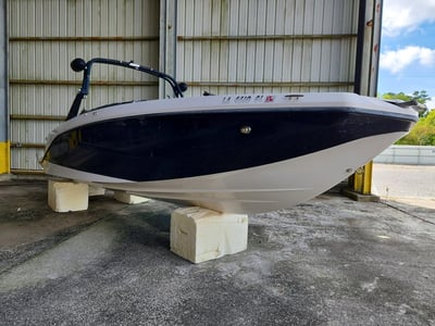 2019 Scarab Unknown