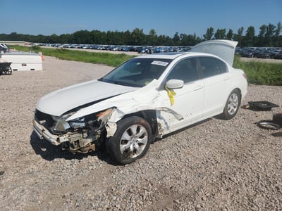 2010 Honda Accord
