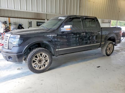 2009 Ford F-150
