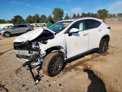 2024 Lexus NX
