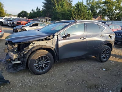 2024 Lexus NX 350