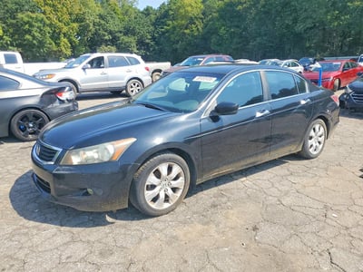 2010 Honda Accord