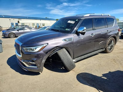 2023 Infiniti QX80