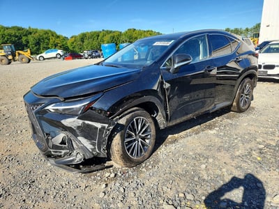 2023 Lexus NX 350h