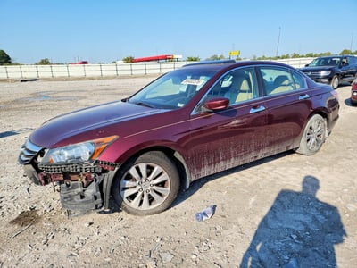 2011 Honda Accord