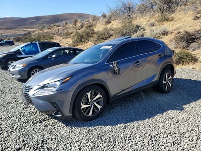 2020 Lexus NX 300h