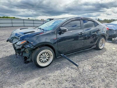 2019 Toyota Corolla