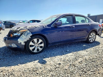 2010 Honda Accord