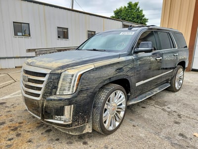 2017 Cadillac Escalade