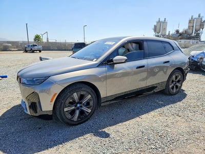 2025 BMW IX