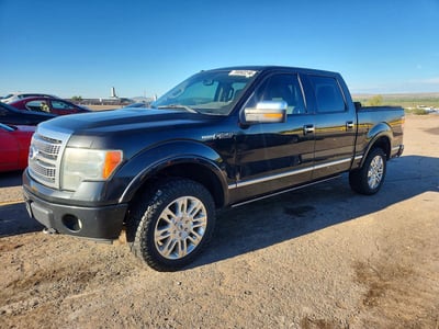 2010 Ford F-150