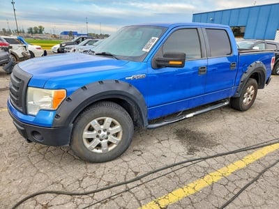2010 Ford F-150