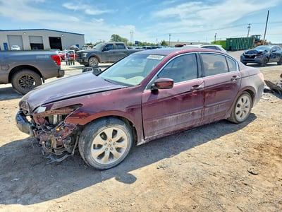 2010 Honda Accord